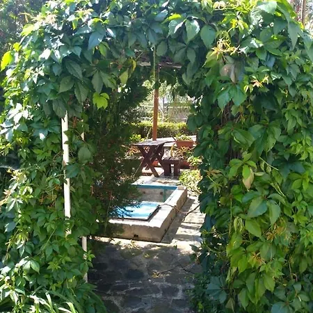 Appartamento Blue Summer *