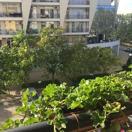 Lejlighed Blue Summer