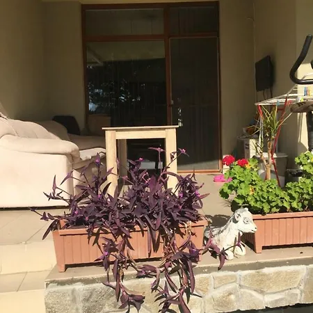 Lejlighed Blue Summer Sunny Beach